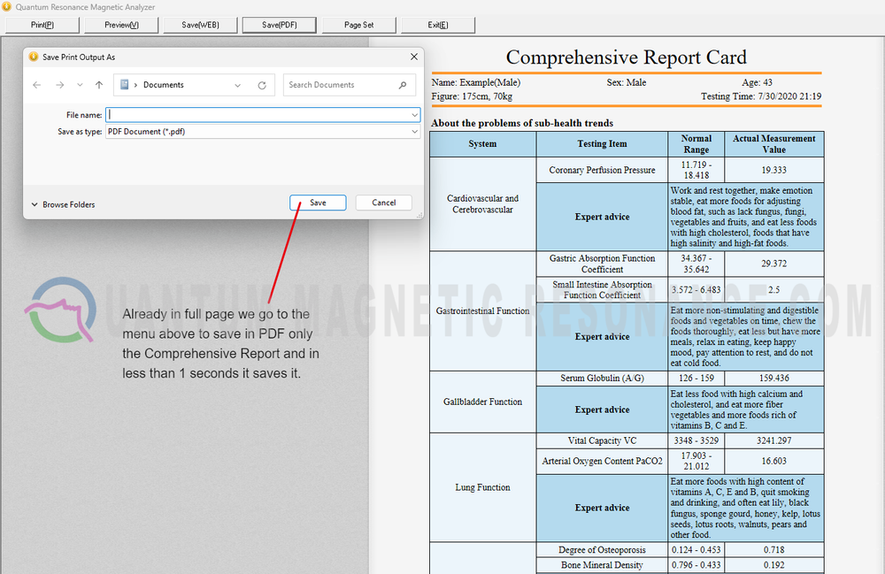 Quantum Magnetic Resonance Body Analyzer 100 Reports 2023 Standard & Fit Amway