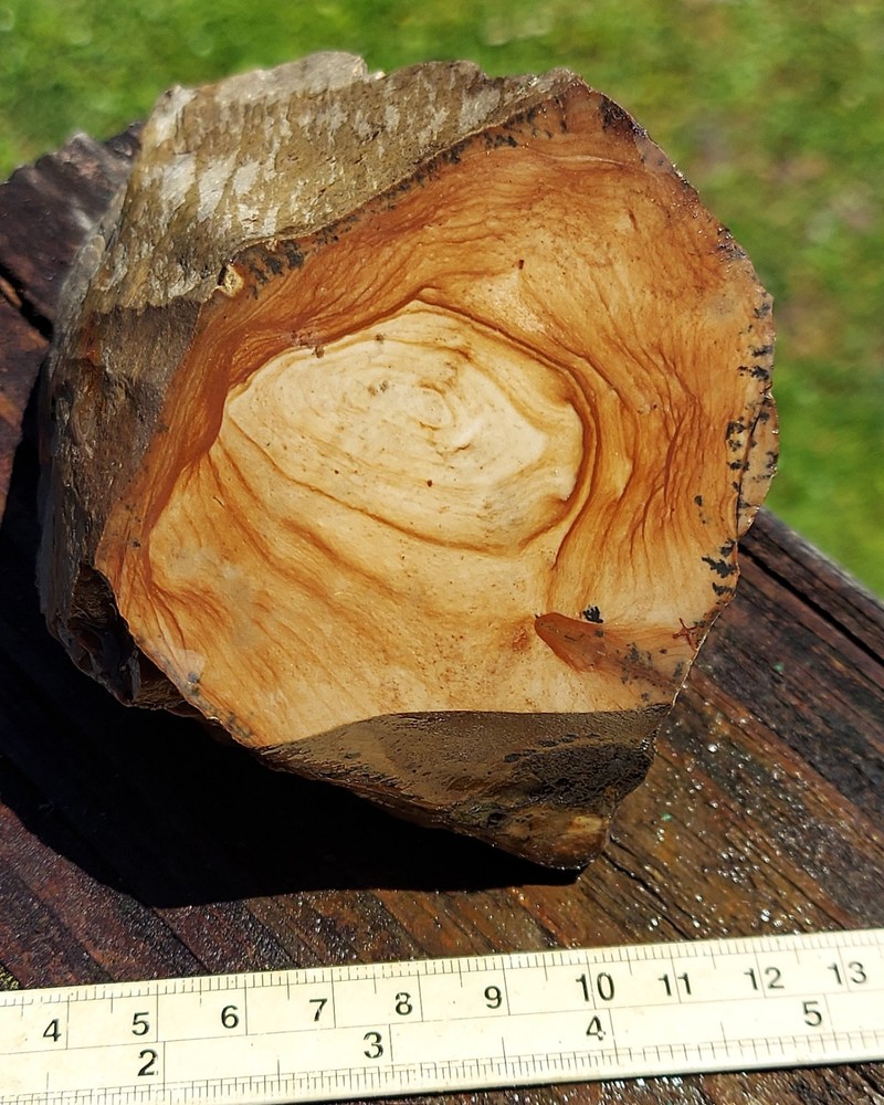 Biggs Jasper Rough Non Blue Variety