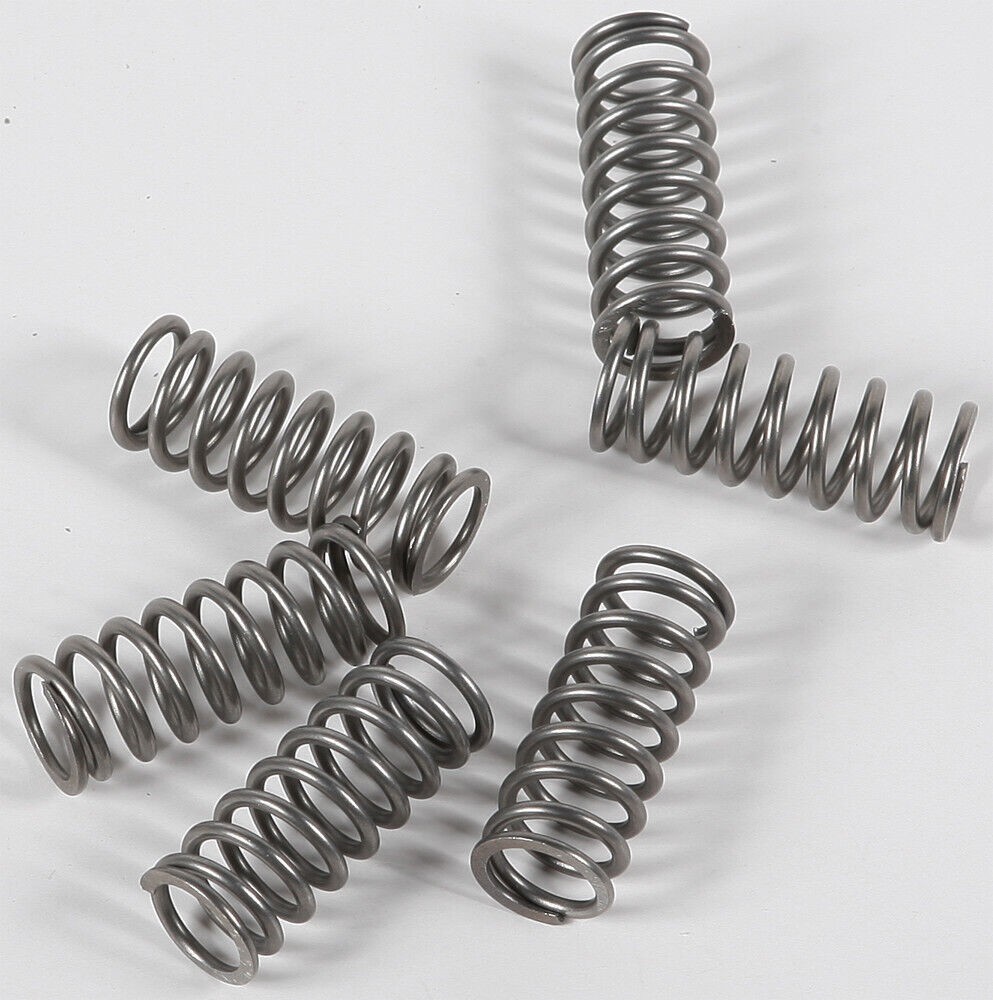 EBC CSK198 Clutch Springs CSK198