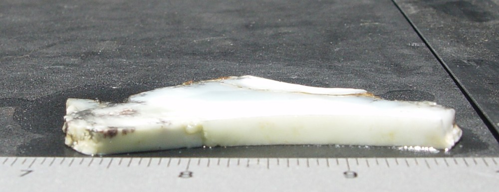 Indonesian Mint Opal lapidary slab T1261