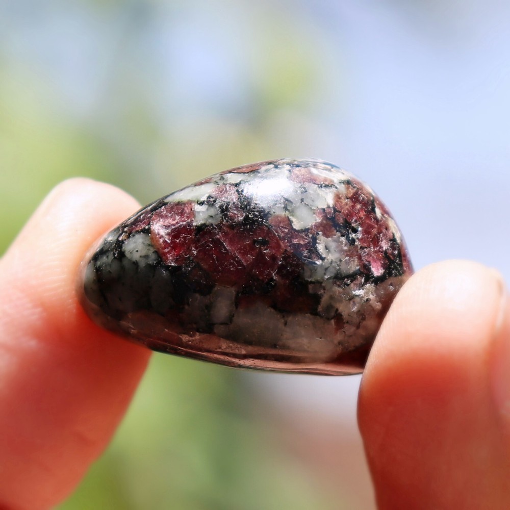 Polished Eudialyte, Fluorescent Mineral (EUD33)