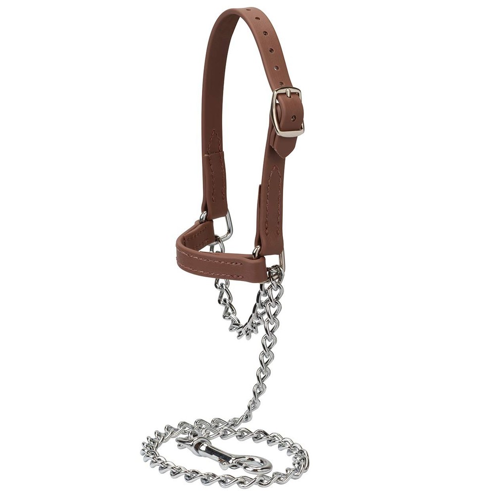 Brahma Webb Goat Halter, Medium, Brown