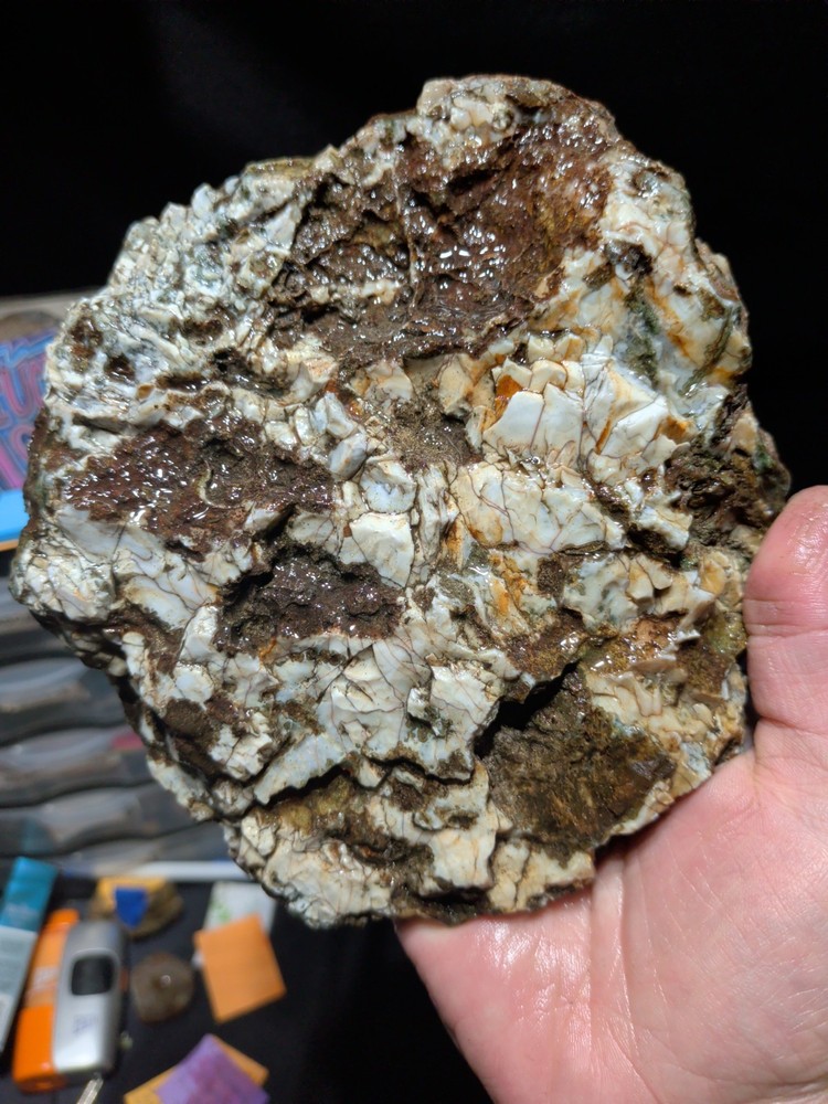 Hampton Butte Slab Specimen (1lb 8oz)