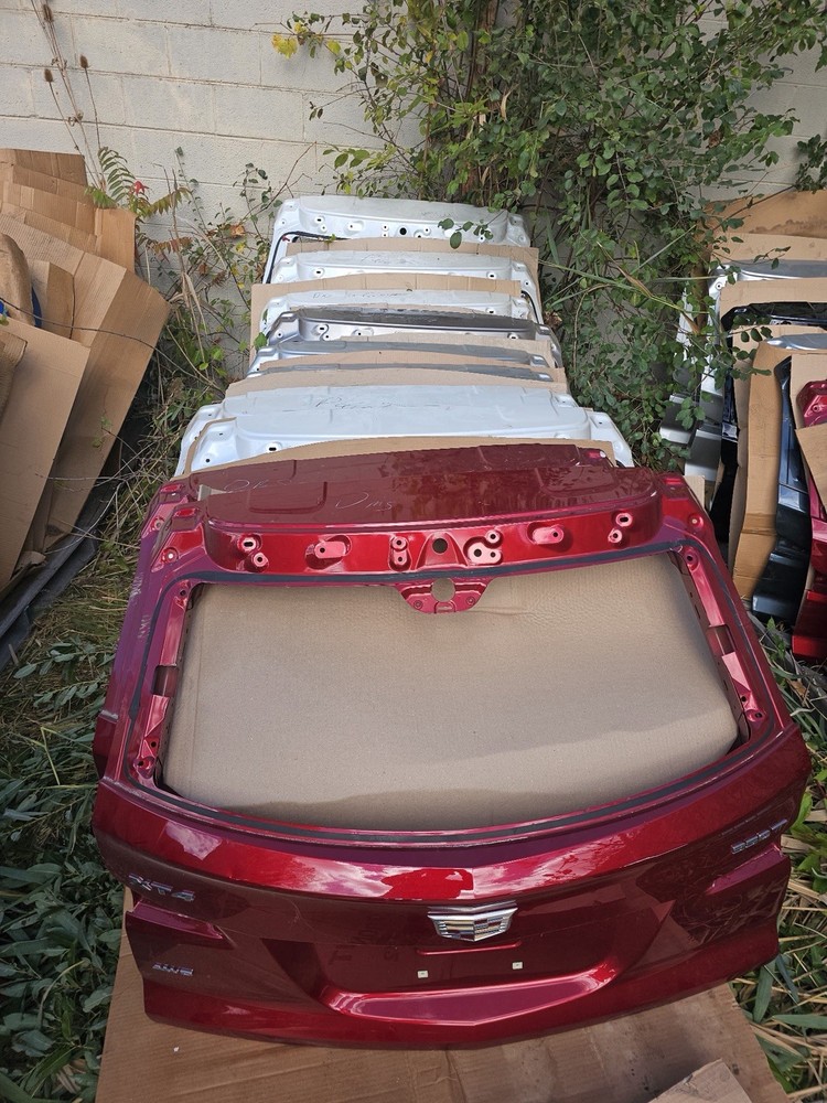 2019-25 CADILLAC XT4 TAILGATE LIFTGATE OEM