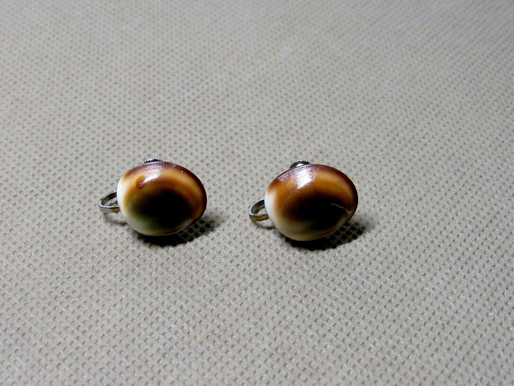 Vtg Polished Cat's Eye Shell Screw Back Earrings