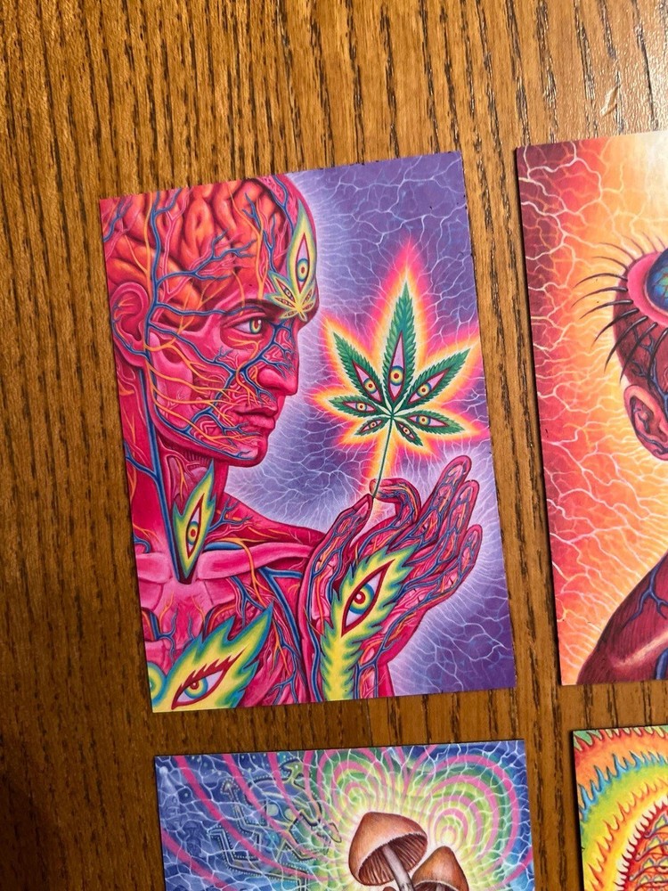 Alex Grey FRIDGE MAGNETS