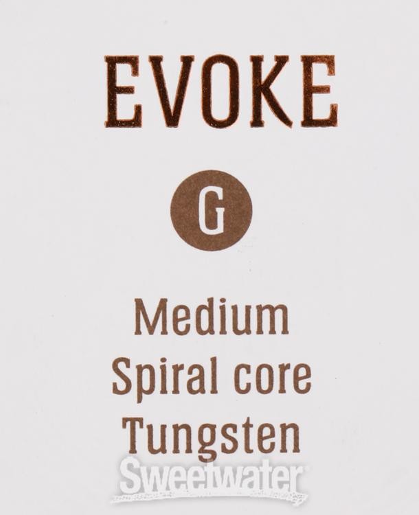 Jargar Evoke Cello G String - 4/4 Size