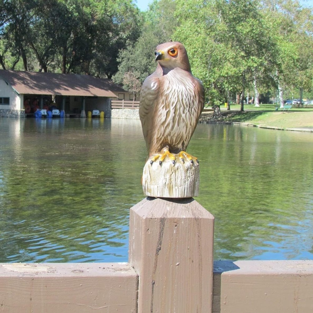 Versatile 6-Pack Plastic Hawk Decoys - Ultimate Solution for Bird Deterrent