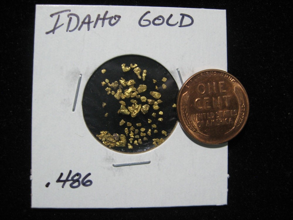IDAHO GOLD NUGGET .486 GRAM
