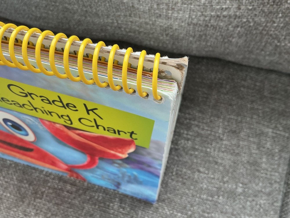 McGraw Hill Reading Wonderworks Intervention Teaching Chart Grade K