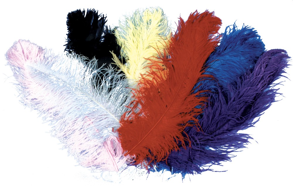 Ostrich Plumes Jumbo