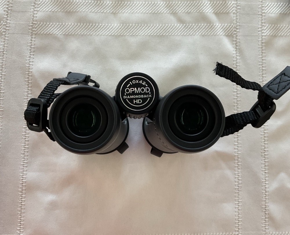 vortex diamondback 10x42 binoculars
