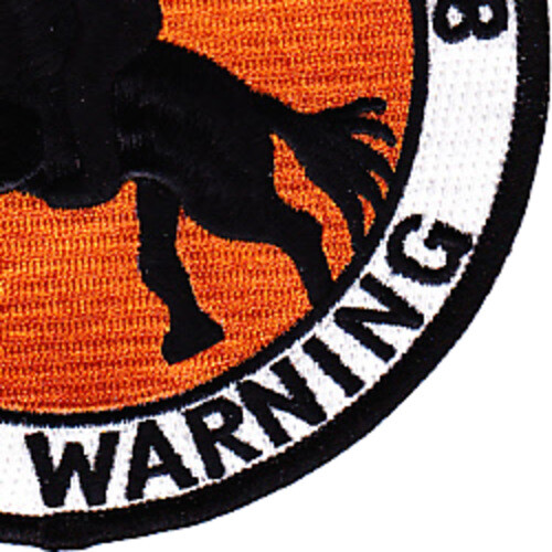 USS Lansing DER-388 Destroyer Ecort Ship Patch