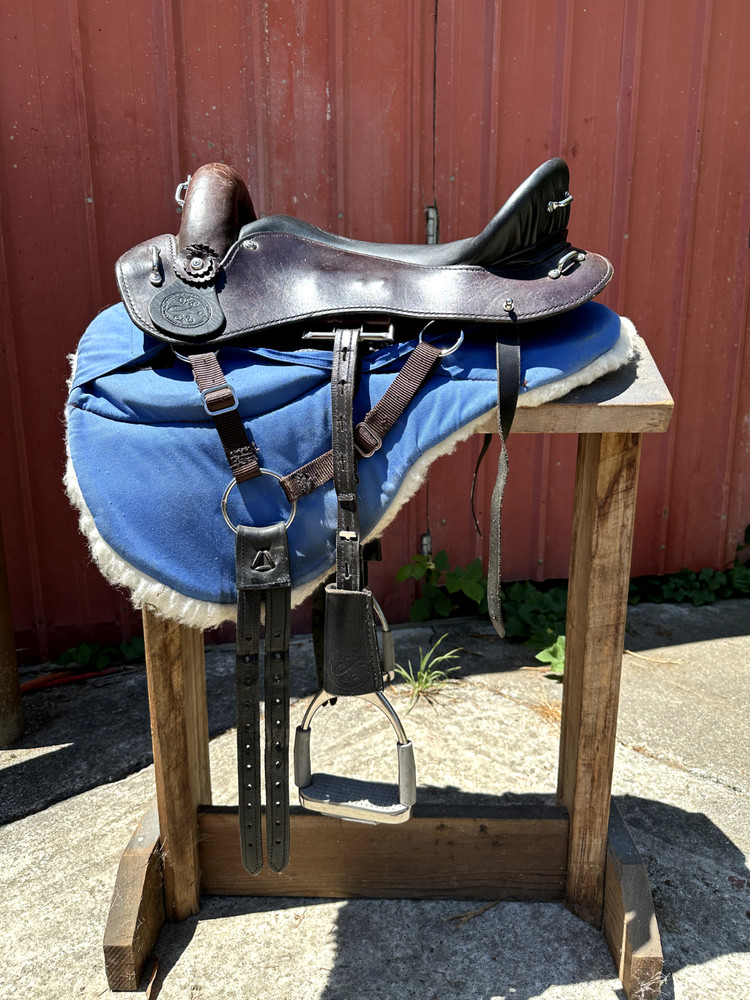 Evolutionary Saddle - The Minimalist Endurance Style Saddle 15"