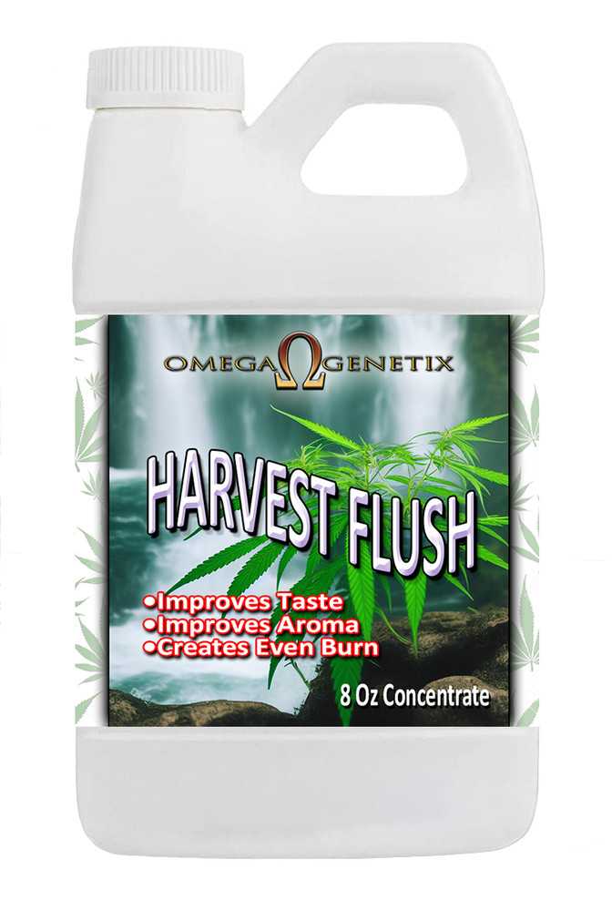 Harvest Flush