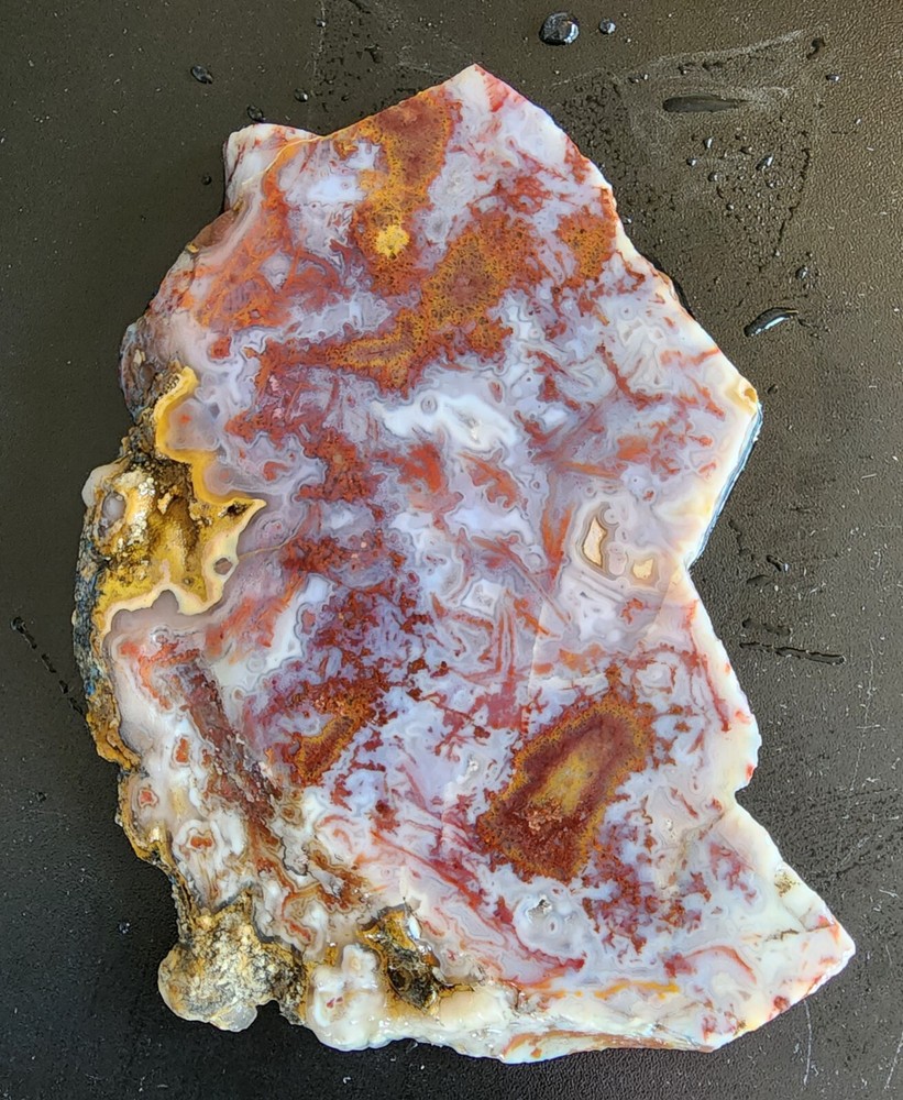 Moss agate Maury Mountain