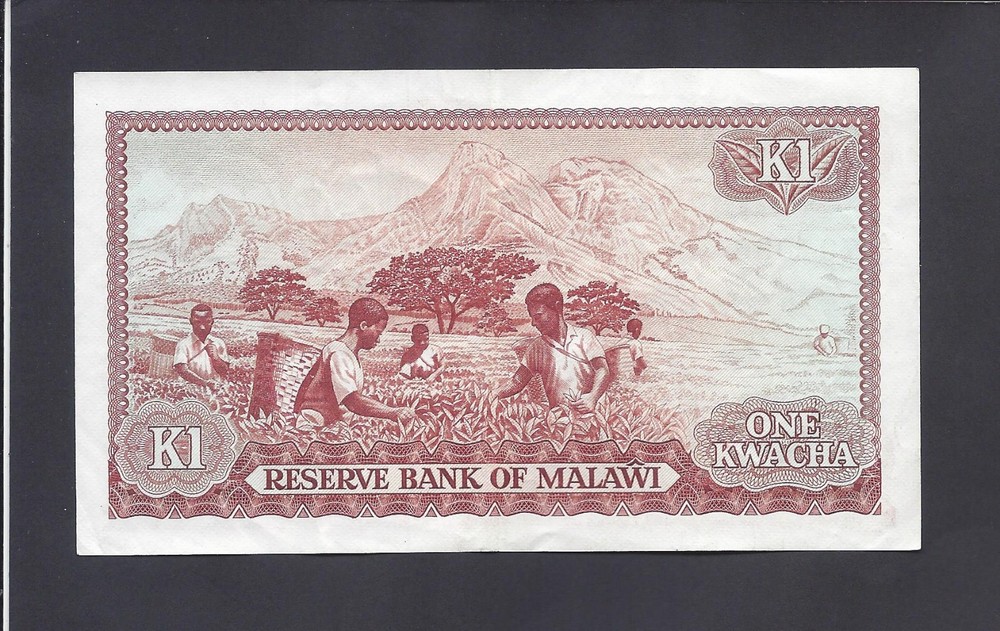 MALAWI - 1 KAWACH 1981 @ @