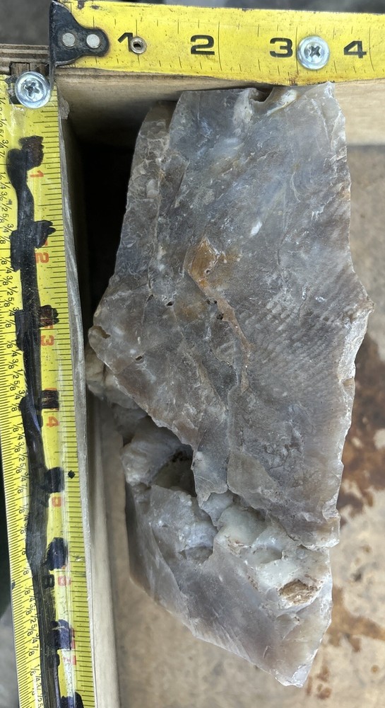 Silver Creek Junction petrified wood