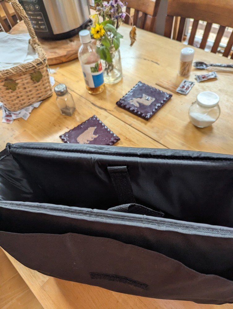 Epson Projector Soft Carrying Case