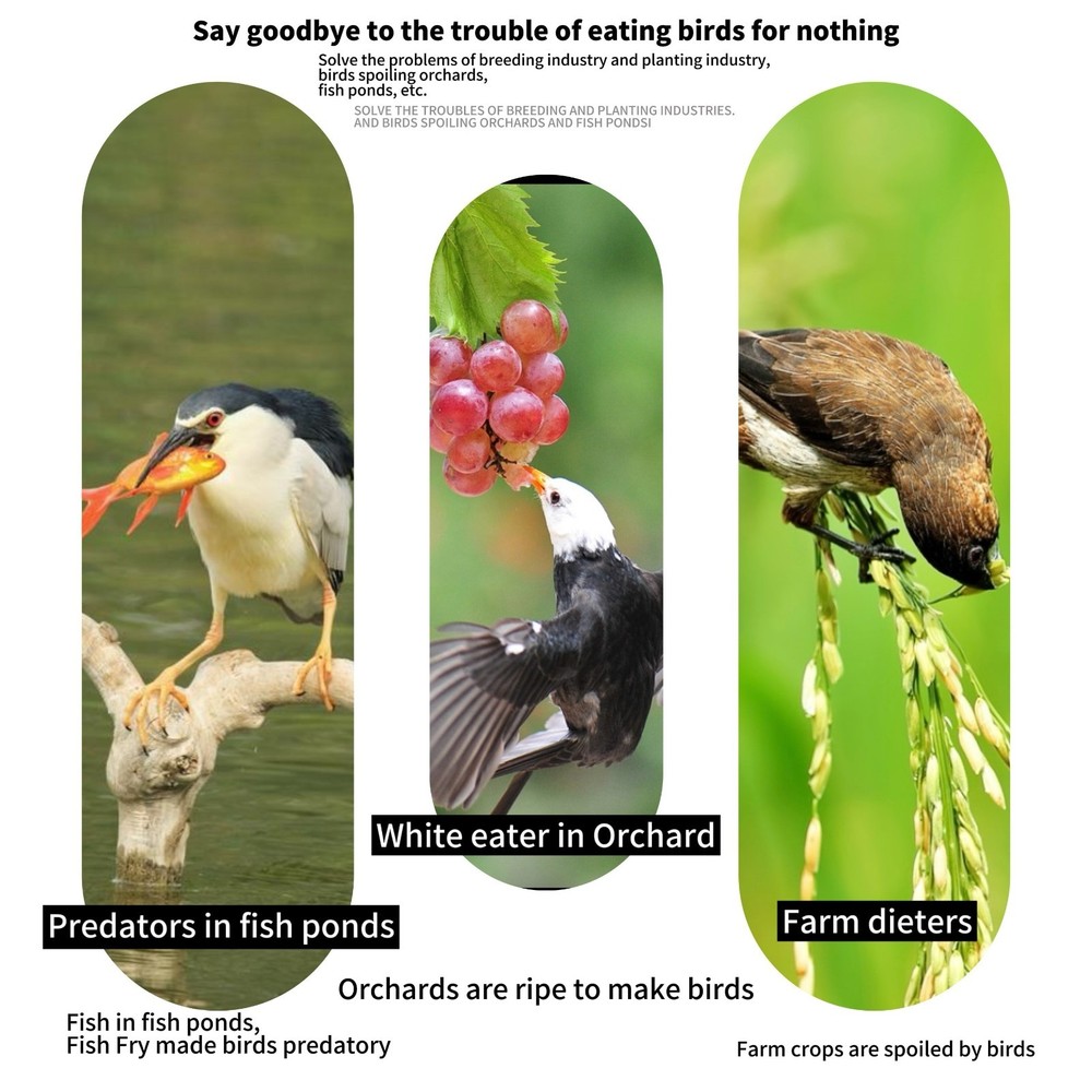 Fine Mesh Bird Net Balcony Cat Protection Pond Leaf Cover Net