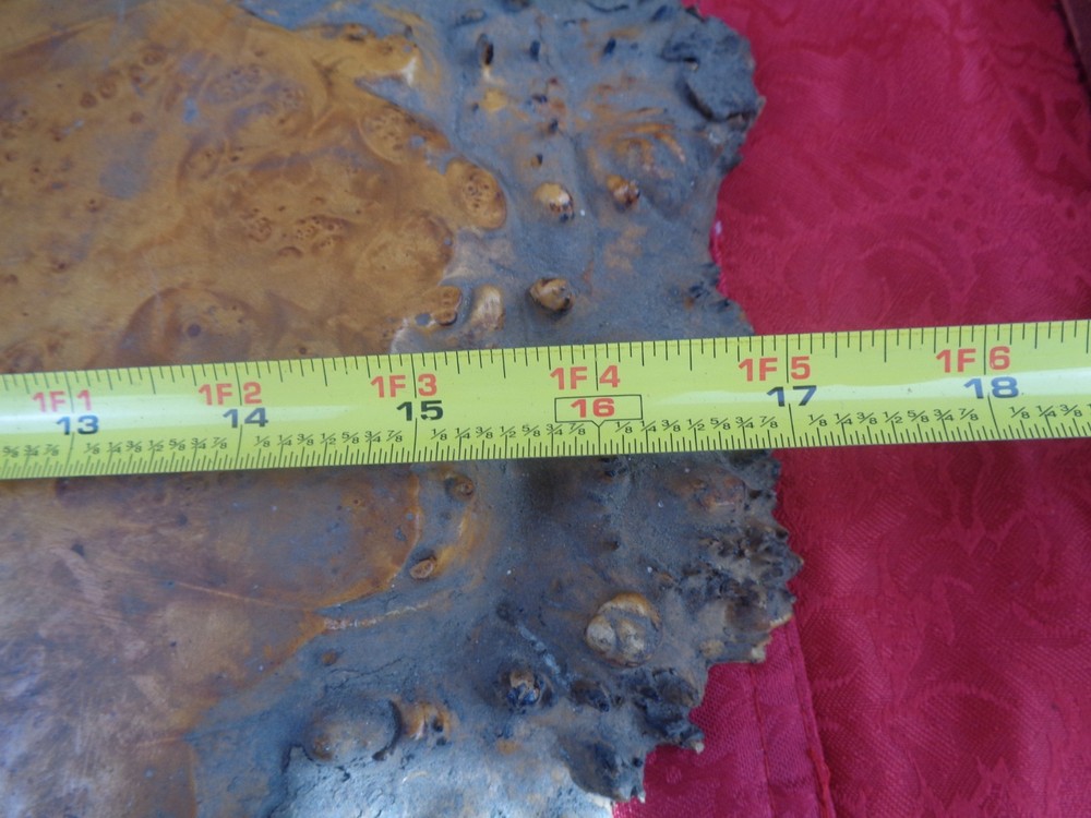 Burlwood Tree Slice #7