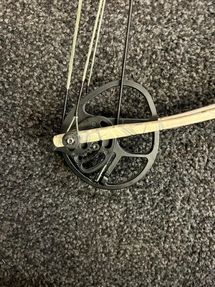 Hoyt Ruckus Bow