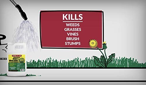 Herbicide Concentrate Mix Root Weed Grass Killer Rainproof 41% Glyphosate 16oz