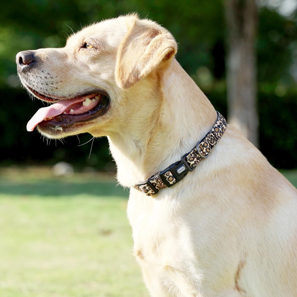 Neoprene Padded Dog Collar, Soft and Comfortable, Leopard Pattern, for Large ...