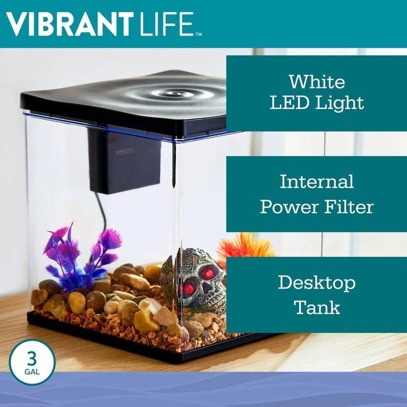 3 Gallon Betta Aquarium Starter Kit LED Light Quiet Filter Complete Setup New
