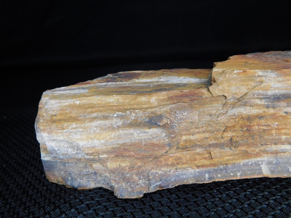 Petrified Wood Stick 1 lbs. 14oz.