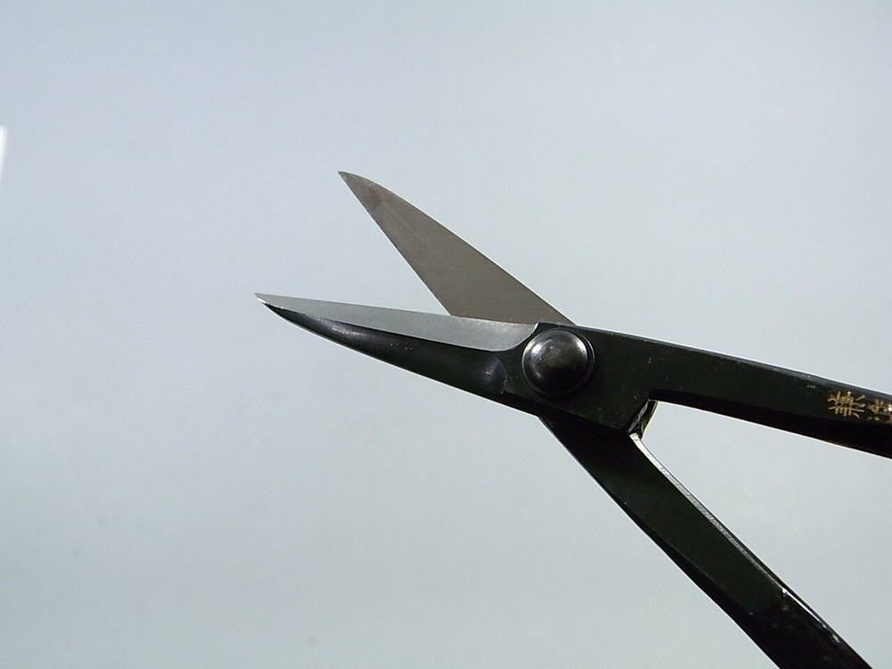 Kaneshin No. 38 Scissors