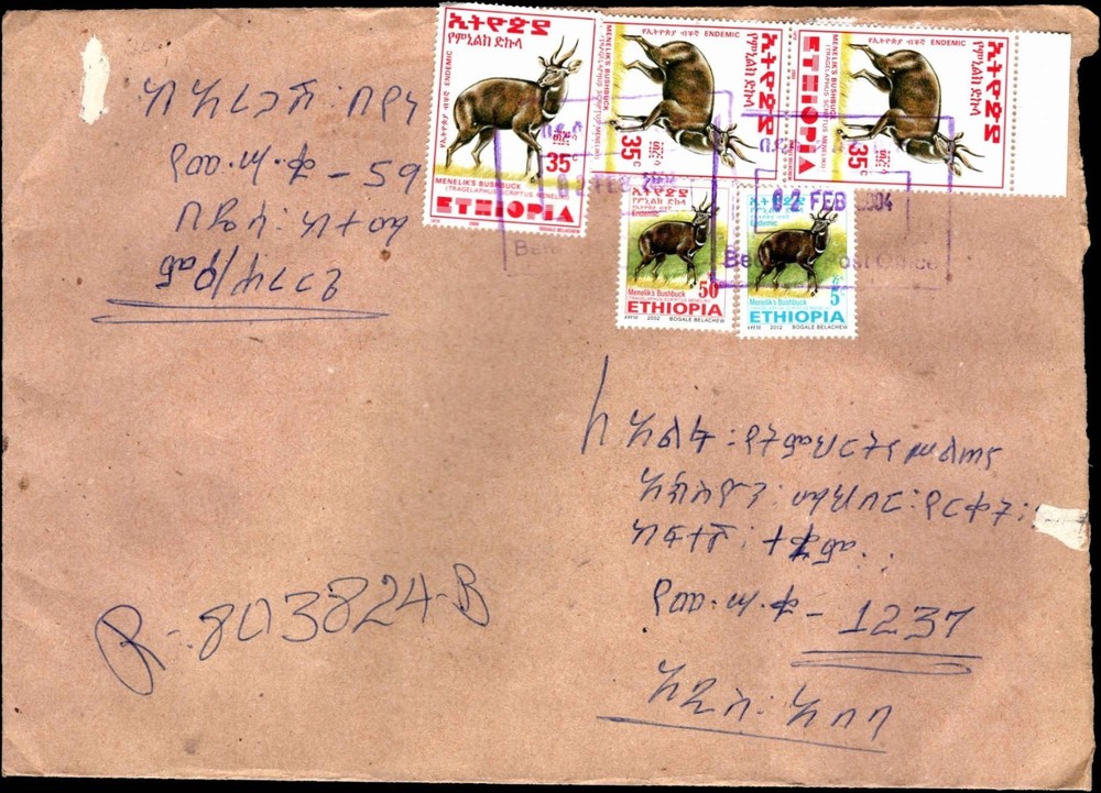 Ethiopia Oversized Cover Registered Bushbuck Stamps Multi Franking