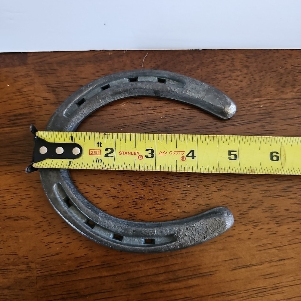 Diamond Classic Horseshoe DCO