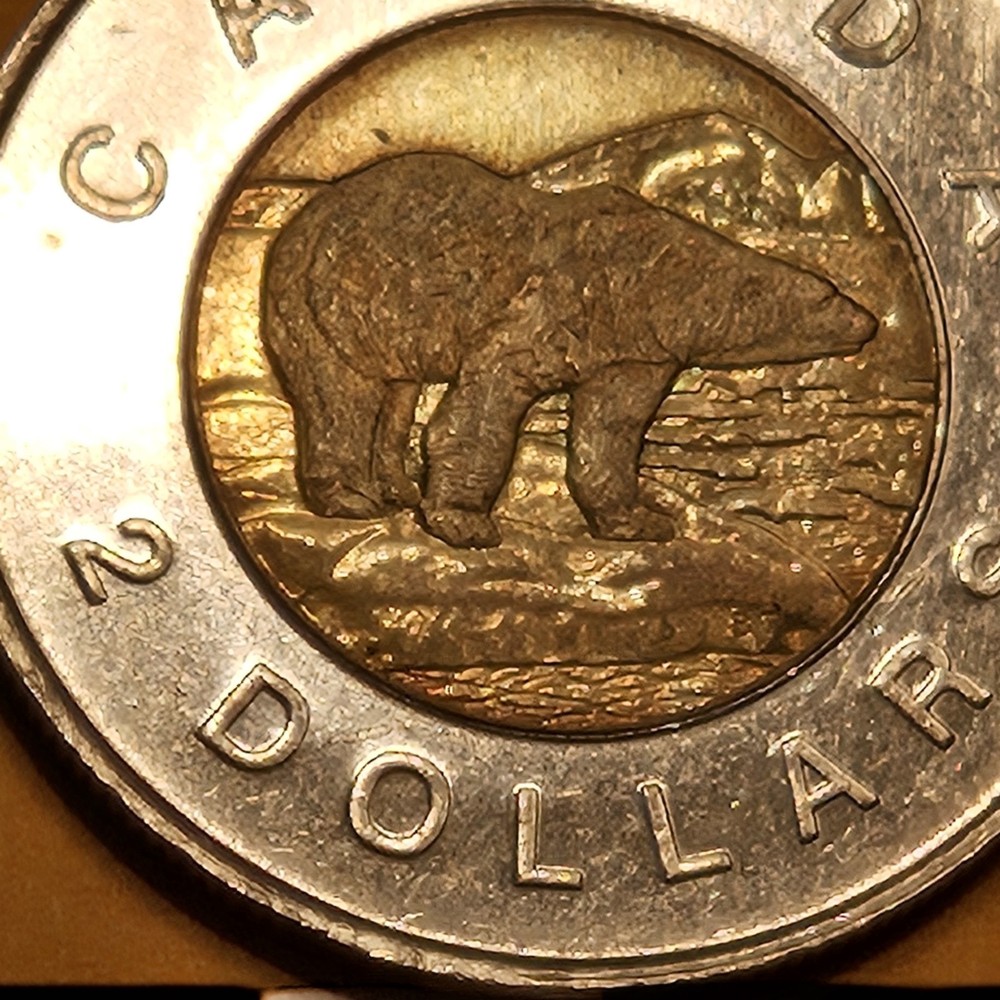 1996 Toonie Canada 2 Dollar Coin