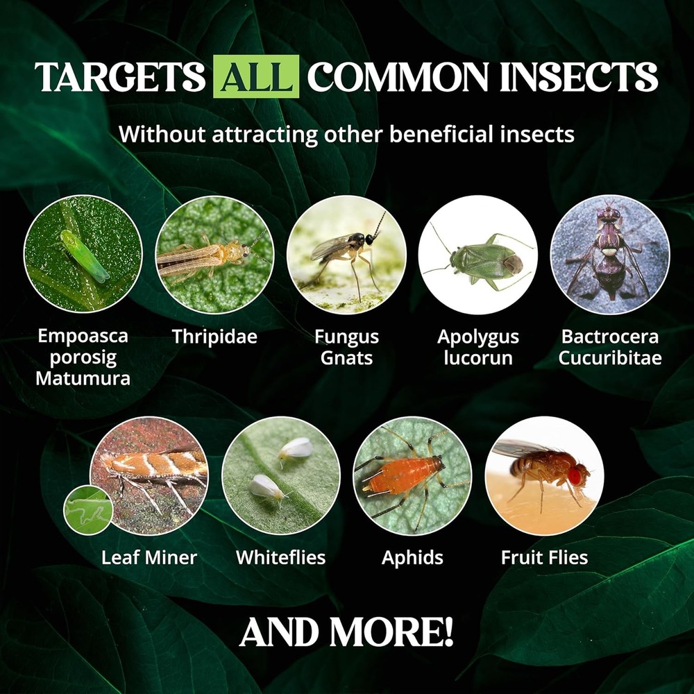 Catchmaster Dual Action Plant Labels Sticky Insect Trap
