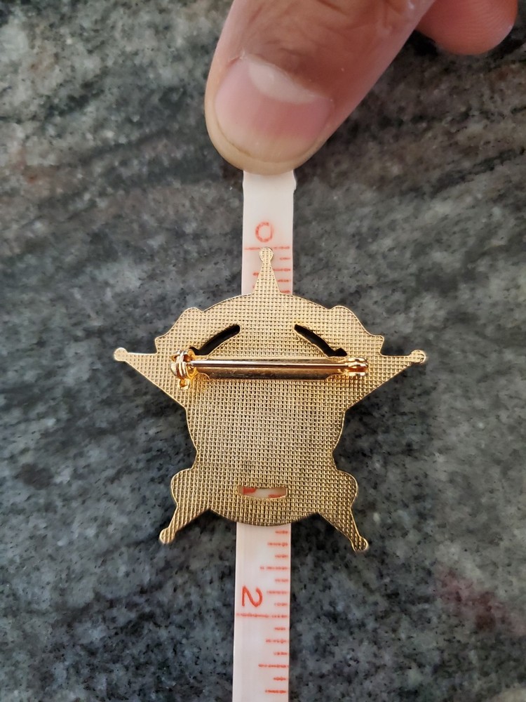 Texas Sheriff Pin