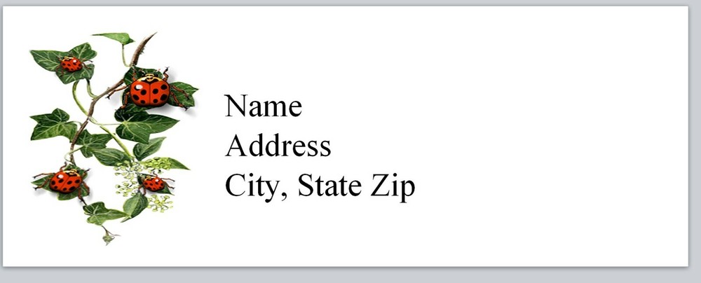 Personalized Address Labels Cute ladybugs (Bx 478)