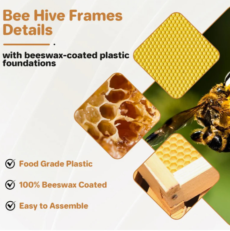 Garvee 10-Frame Langstroth Medium Super Bee Hive Box, Beeswax-Dipped, Cedarwood,