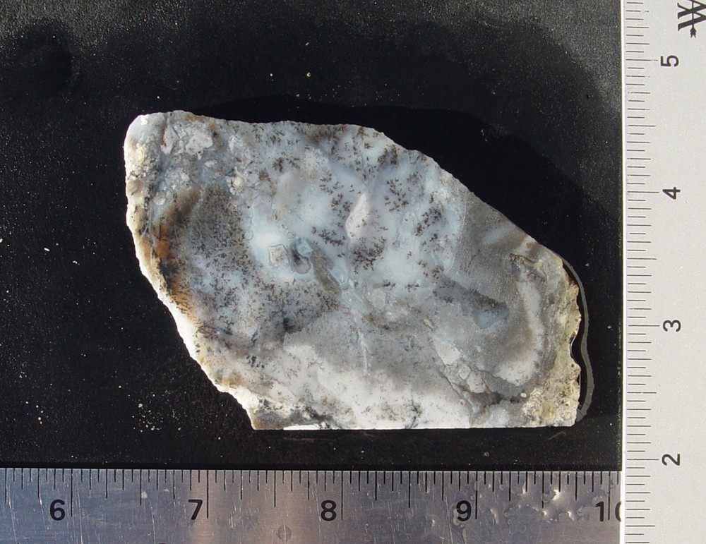 Dendritic Agate Lapidary Slab T1127
