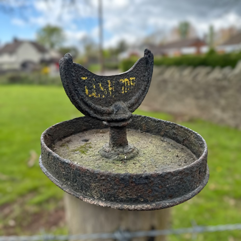 Antique Victorian Cast Iron Boot Scraper Decorative Garden Painted