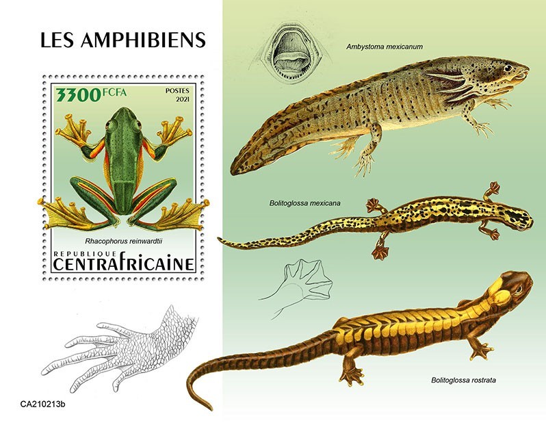 Amphybians