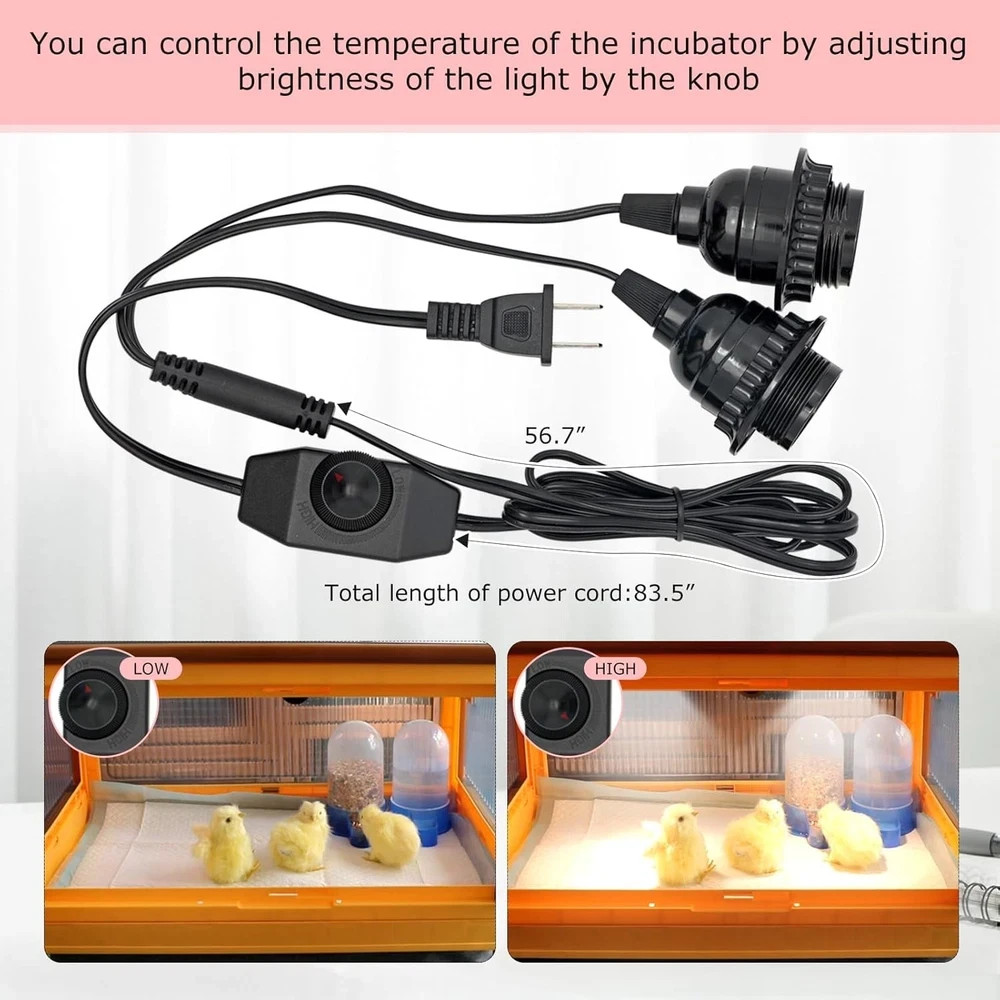 Chicken Brooder Box for Chicks Brooder Heater Chicks w/ Thermometer for 20 Ducks