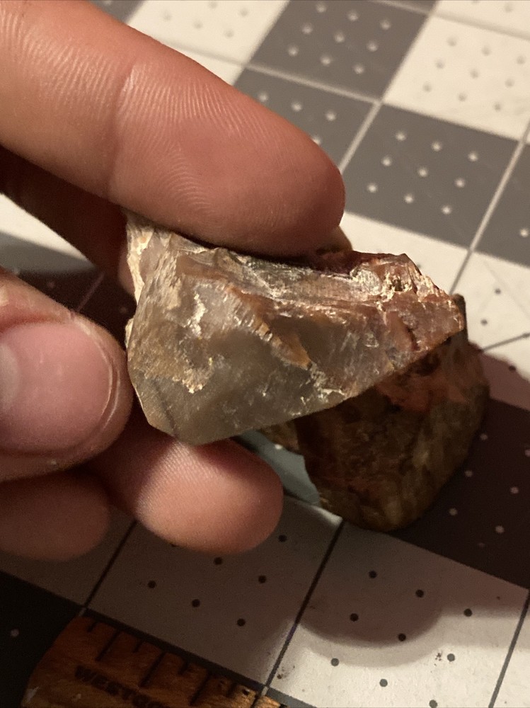 Ancient Petrified Wood Chunks