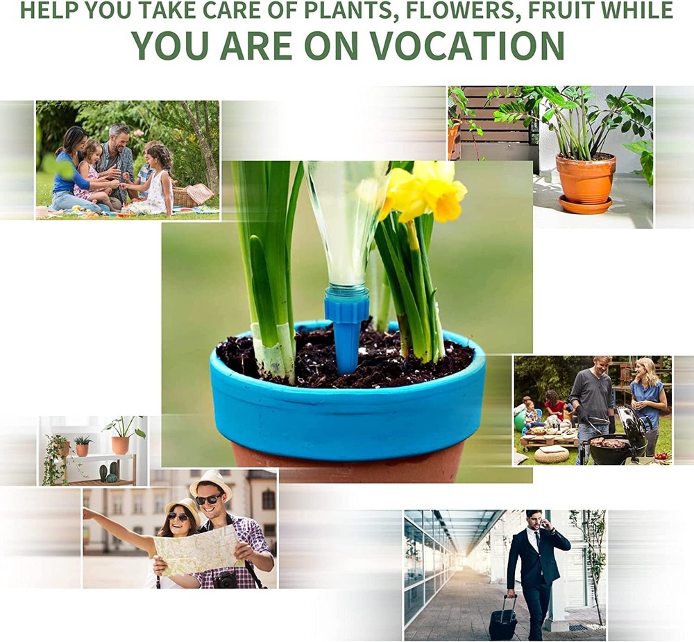 12 Self-Watering Spike Automatically Water Your Garden Using Insert Drip Tools!