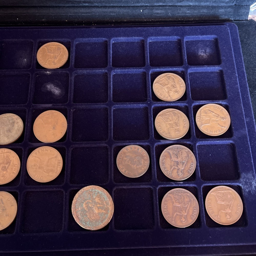 Large coin collection in case