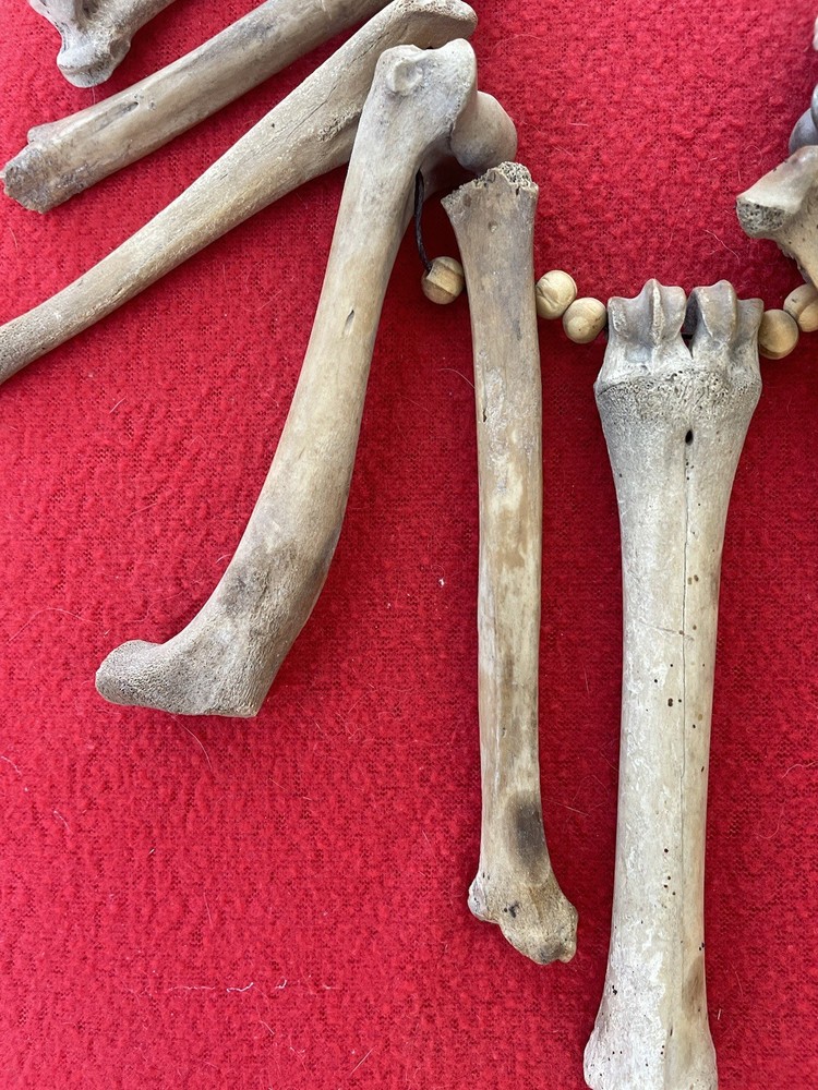 Extraordinary Old Aztec Xoloitzuintle Bone Shaman’s Necklace
