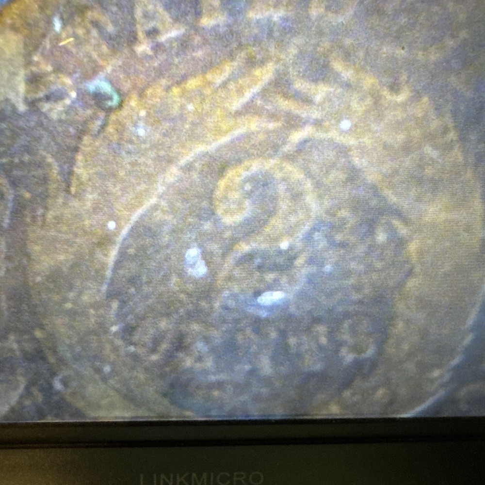1865 & 1868 2 Cent Coin