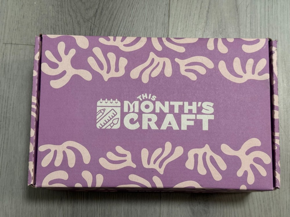 This Month's Craft Soap Making Kit - Unused