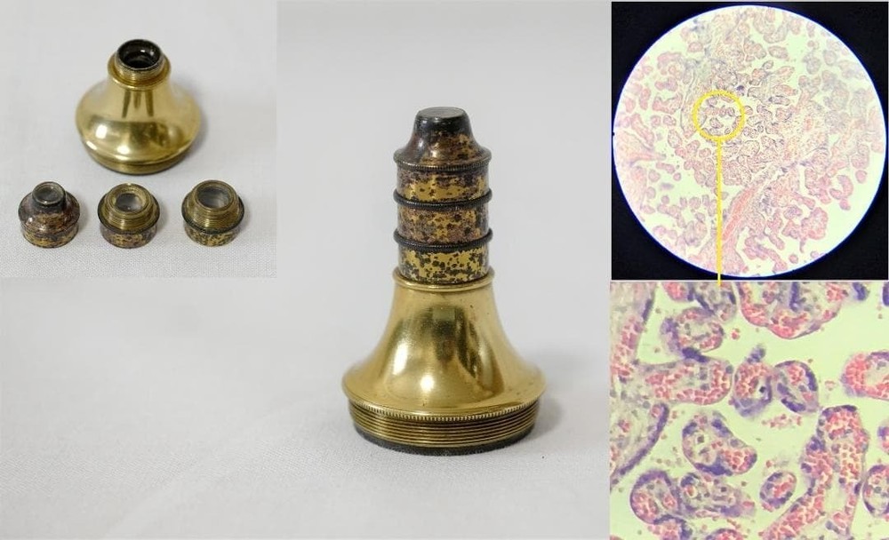 Antique Microscope No. 12: Simon Plössl's "Achromatic" Microscope