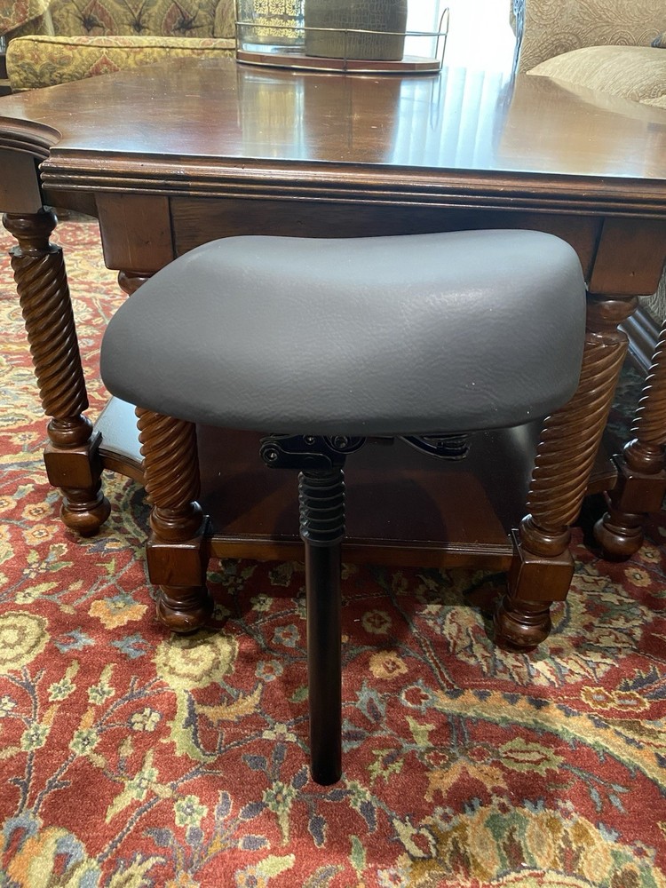 Electric Bike Seat Replacement Accessory